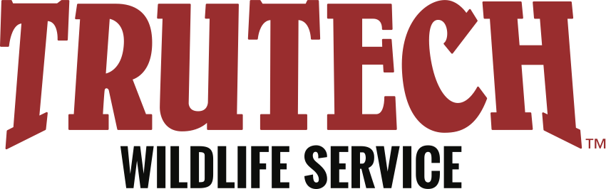 Avatar for TRUTECH WILDLIFE REMOVAL